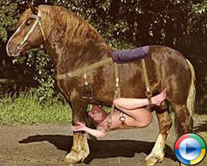 Frau und pferd porno